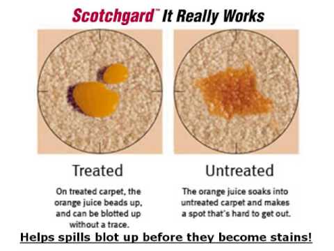 https://secarpets.files.wordpress.com/2012/05/orange-juice-example-scotchgard.jpg